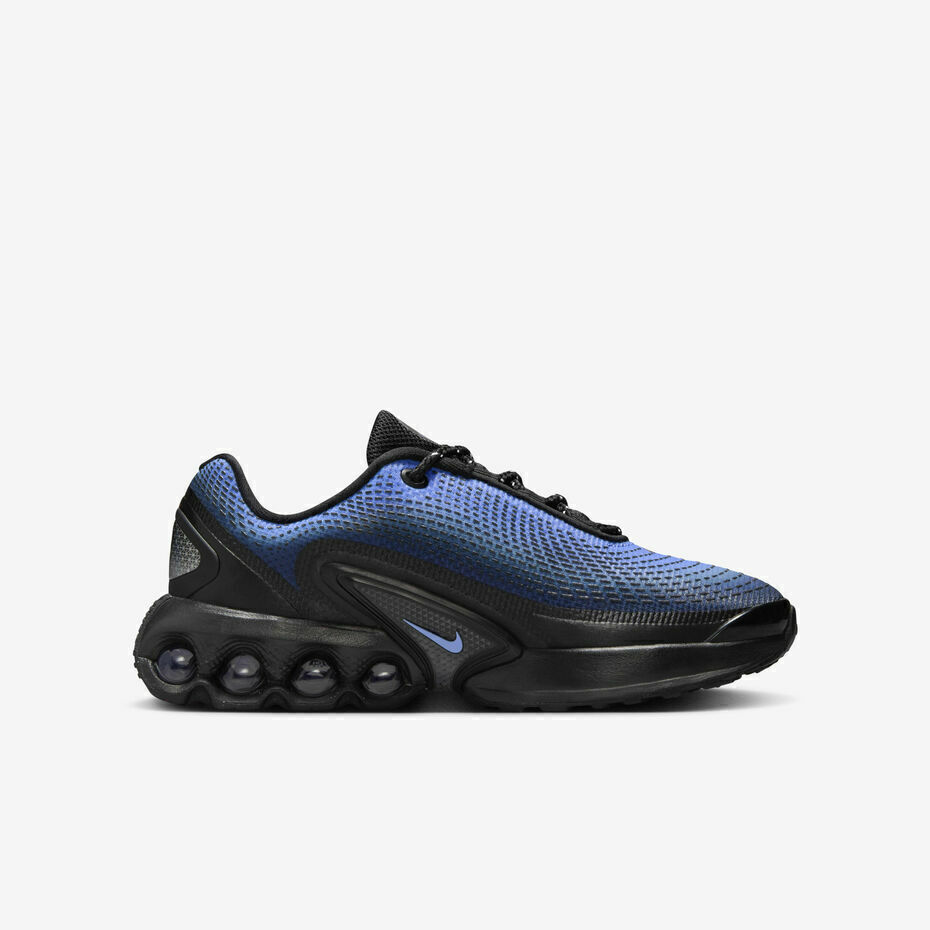 Nike Air Max DN "Blue"